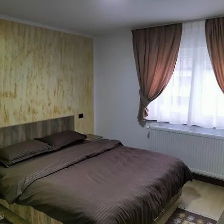 Apartament Ary Borsa (Maramures)